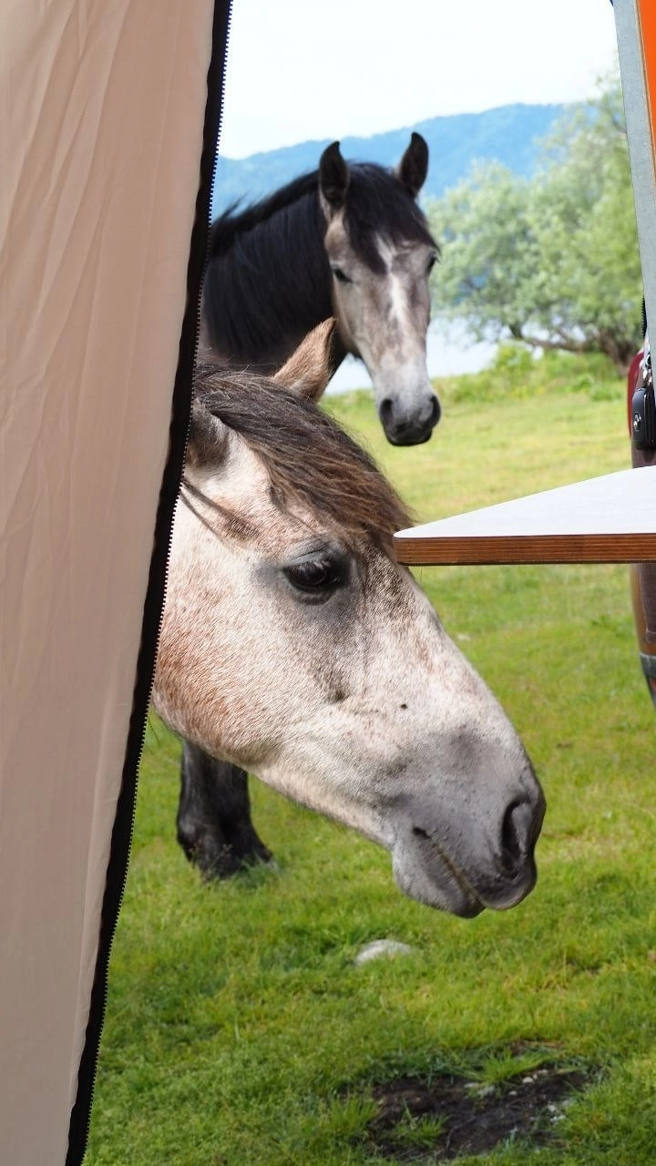 Фото прицепа 17