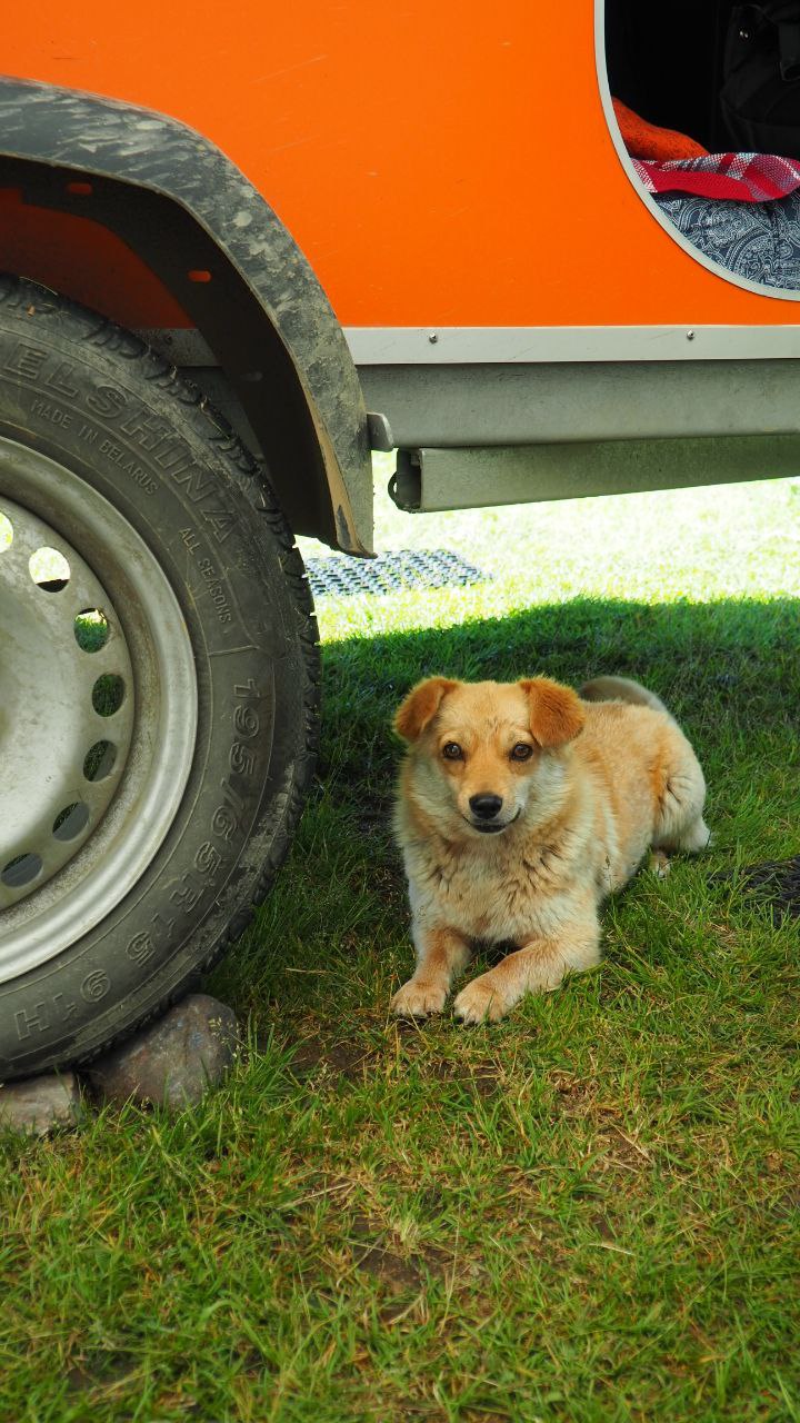 Фото прицепа 25